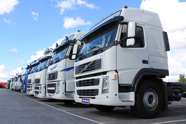 A fleet of lorries